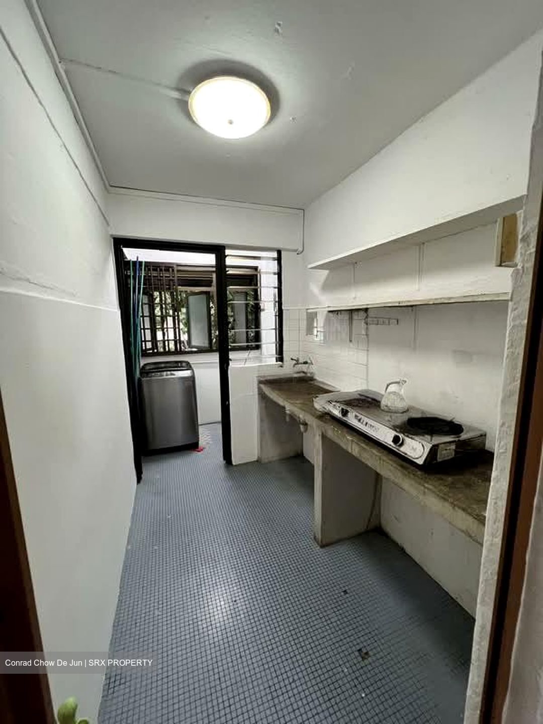 Tiong Bahru Orchid (D3), Shop House #567994431
